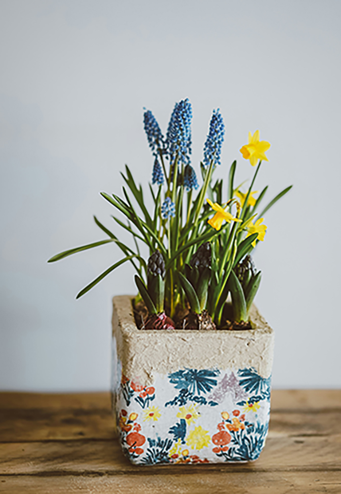 Flower Pot
